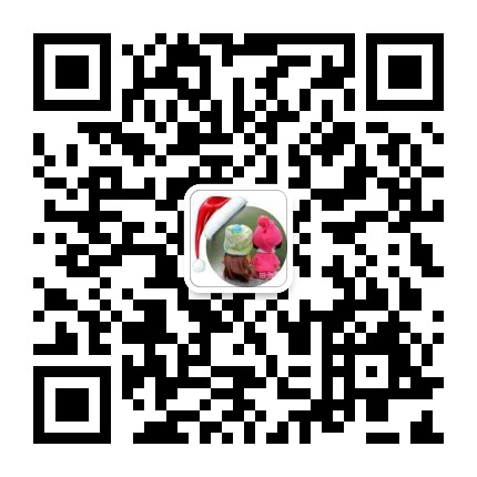 德云地产26罗黎娟的微信二维码