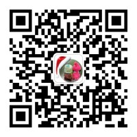 �żҸ۵��Ƶز�26΢�Ŷ�ά��