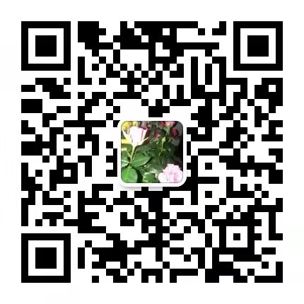 家顺房产陶凤娥的微信二维码