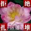 旺家房产的头像