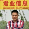 小董
